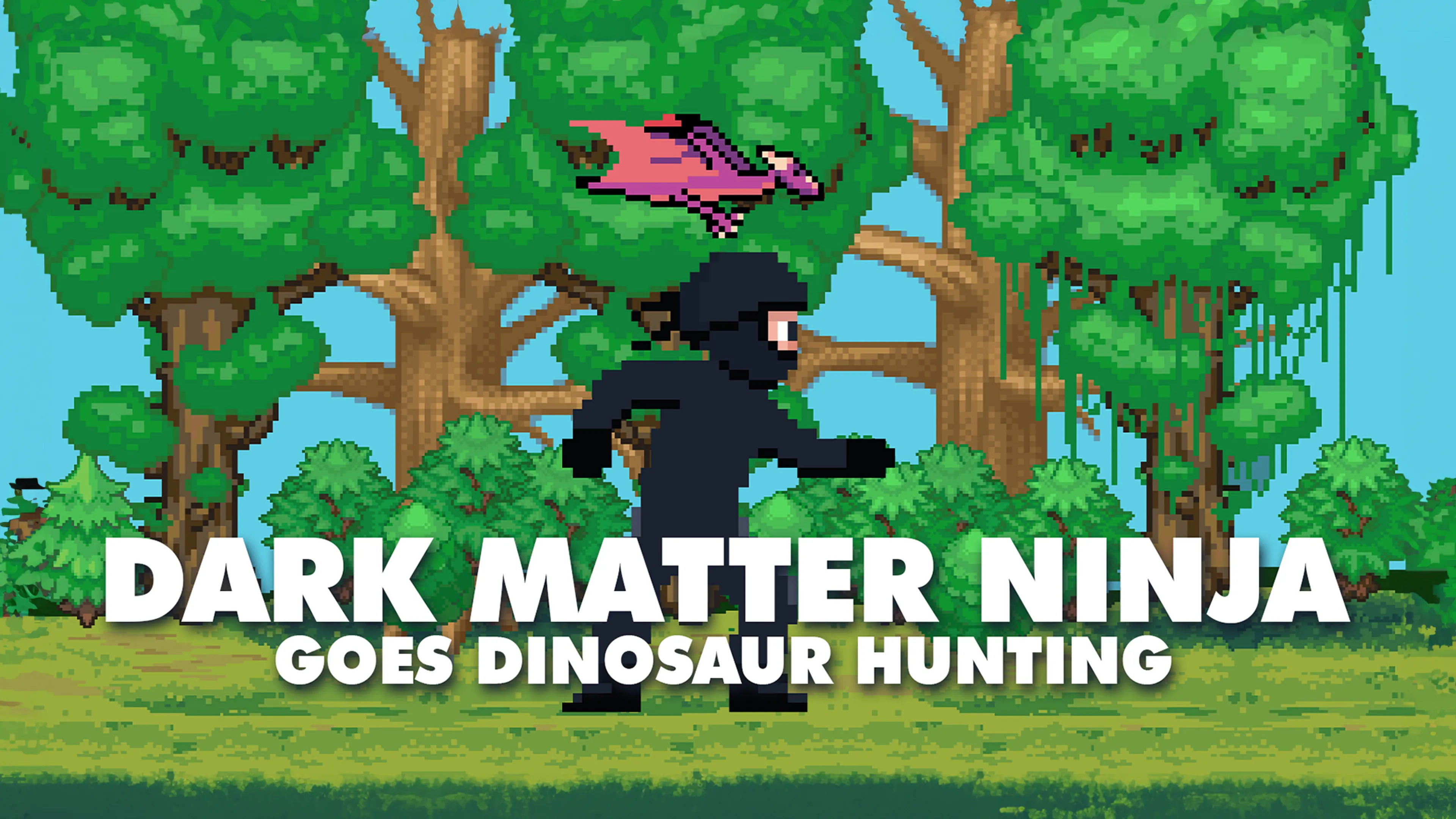 Dark Matter Ninja Goes Dinosaur Hunting poster